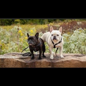 Meet your Posher, Jen